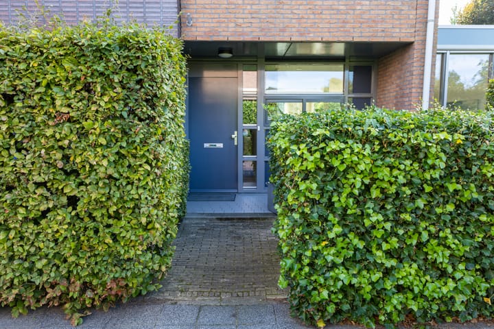 Foto 4 van De Eilanden 20