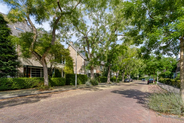 Photo 42 of Faljerilstraat 8