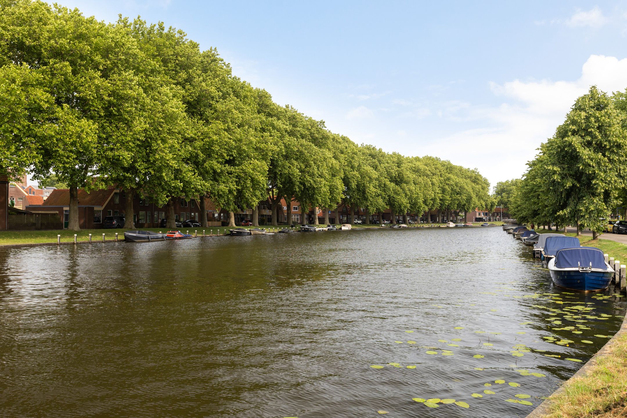 Foto 48 van Burg. Schalijstraat 18