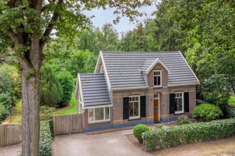 undefined main image