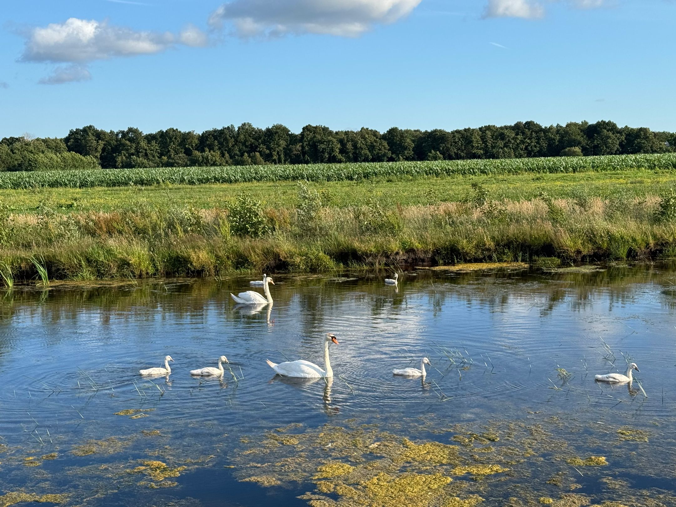 Photo 87 of Rengersweg 23