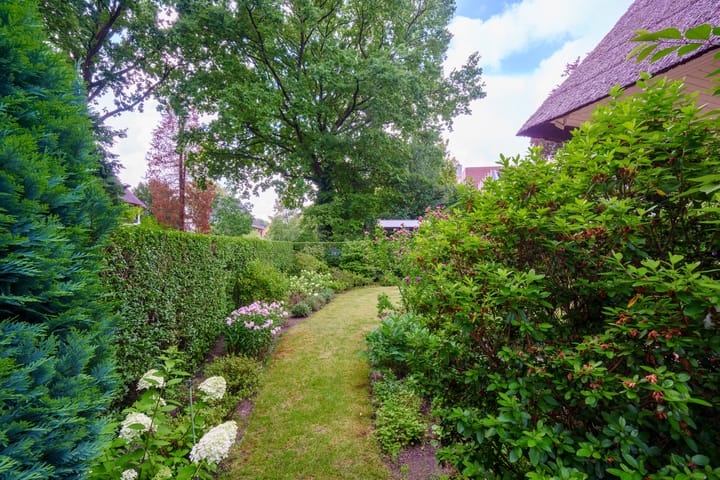 Foto 56 van Insulindelaan 21