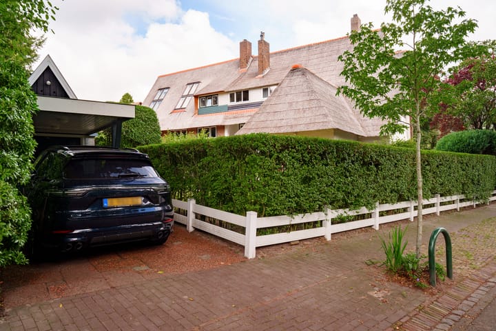 Foto 59 van Insulindelaan 21