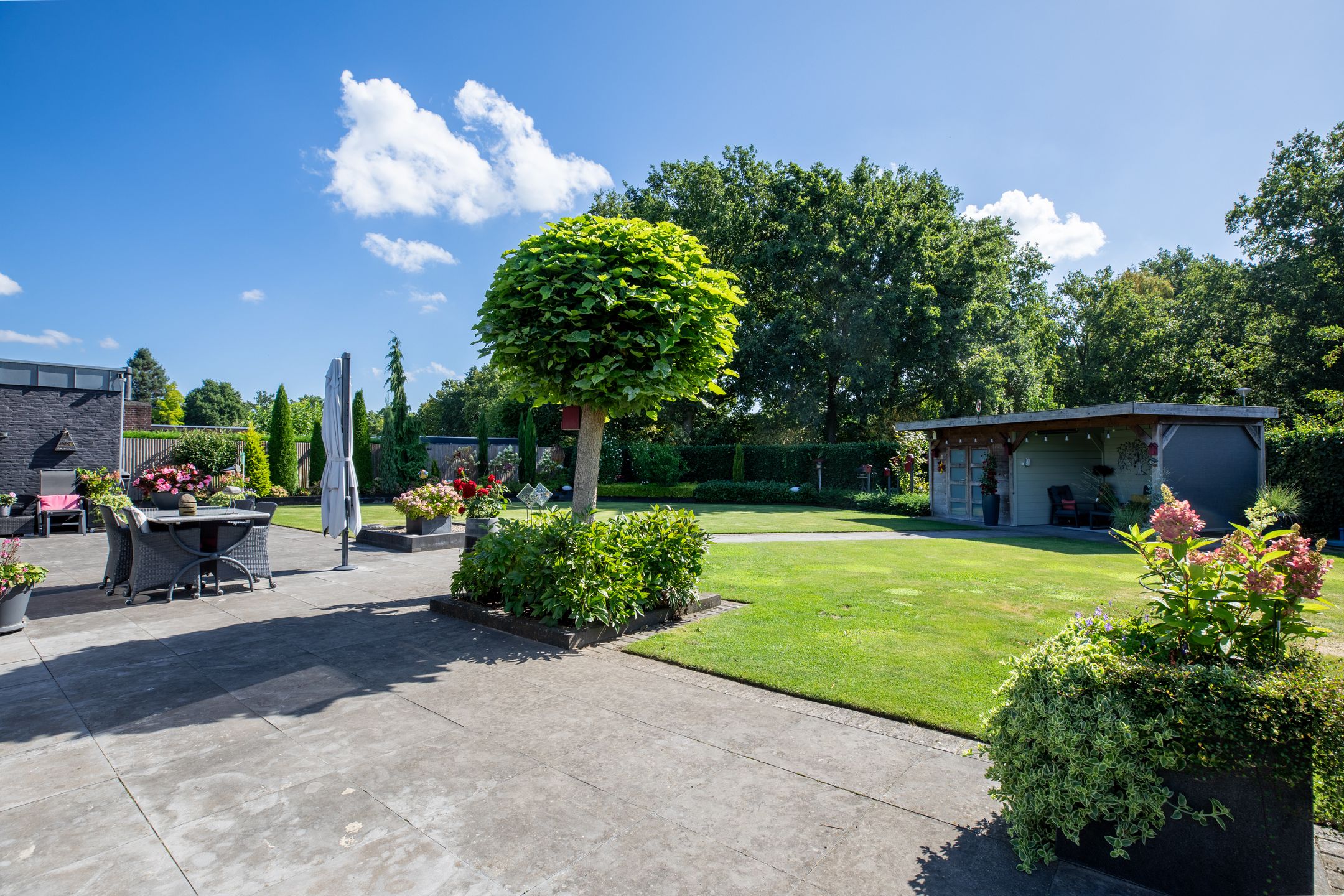 Foto 30 van Koekoeklaan 17