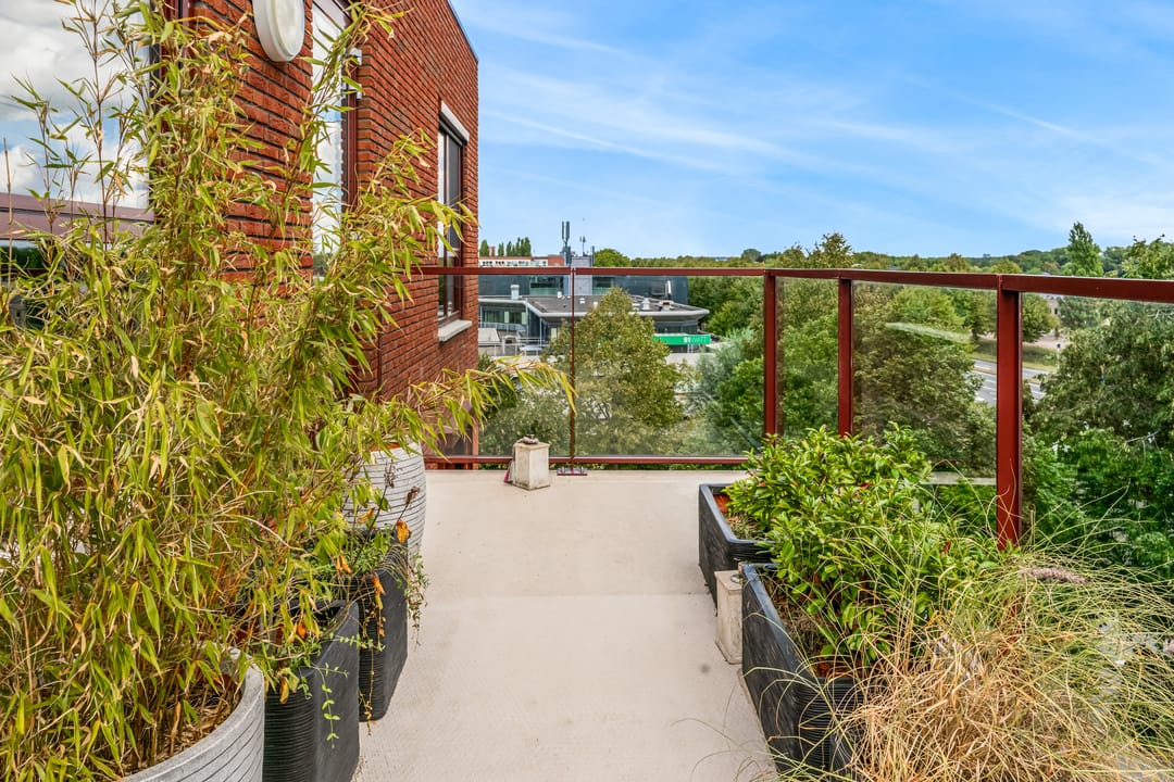 Foto 31 van Perkinsbaan 1-17