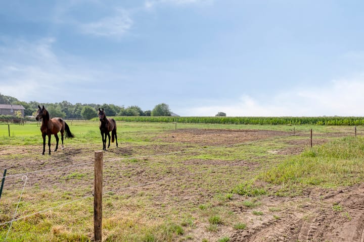 Photo 27 of Meijelseweg 66 a-b