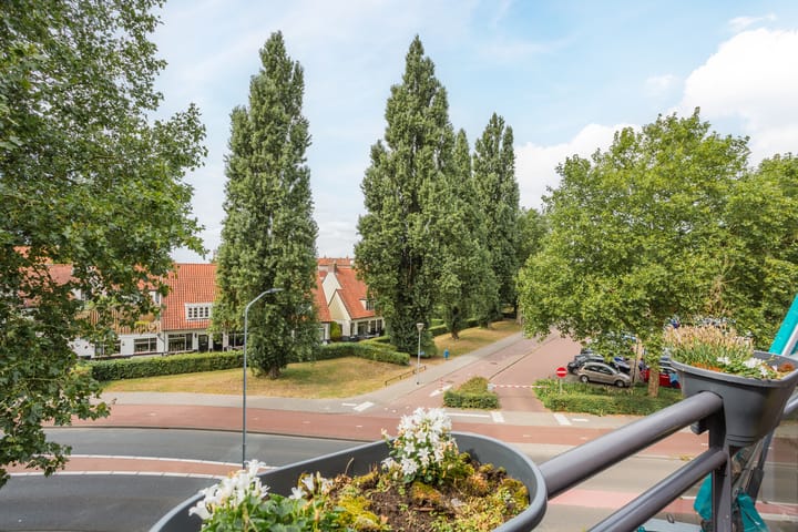 Foto 38 van Scheepssingel 20