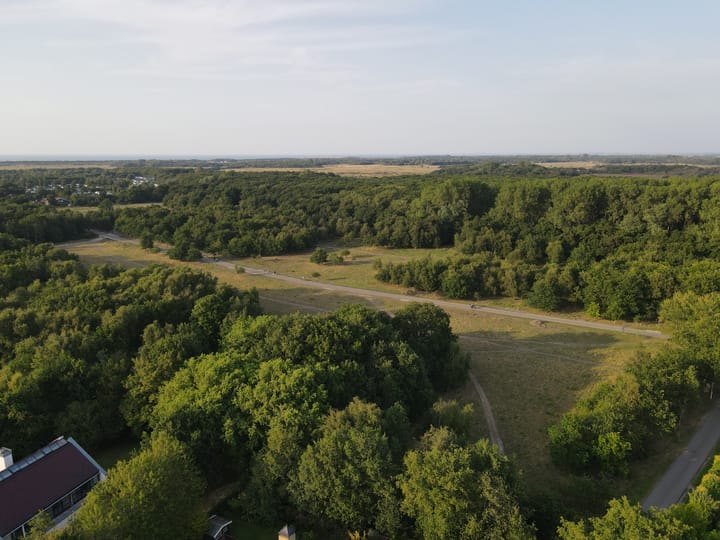 Foto 4 van Westerenbanweg