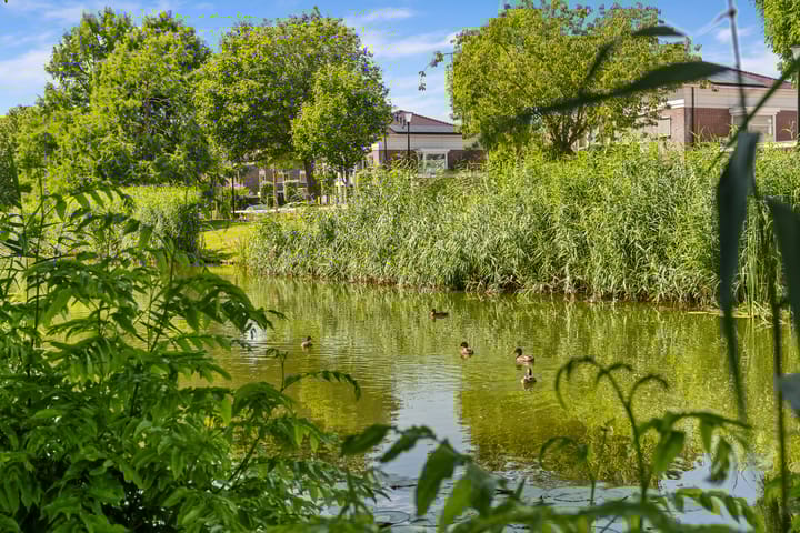 Foto 2 van Meerwedesingel 41