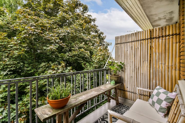 Foto 3 van Theophilusstraat 15-3