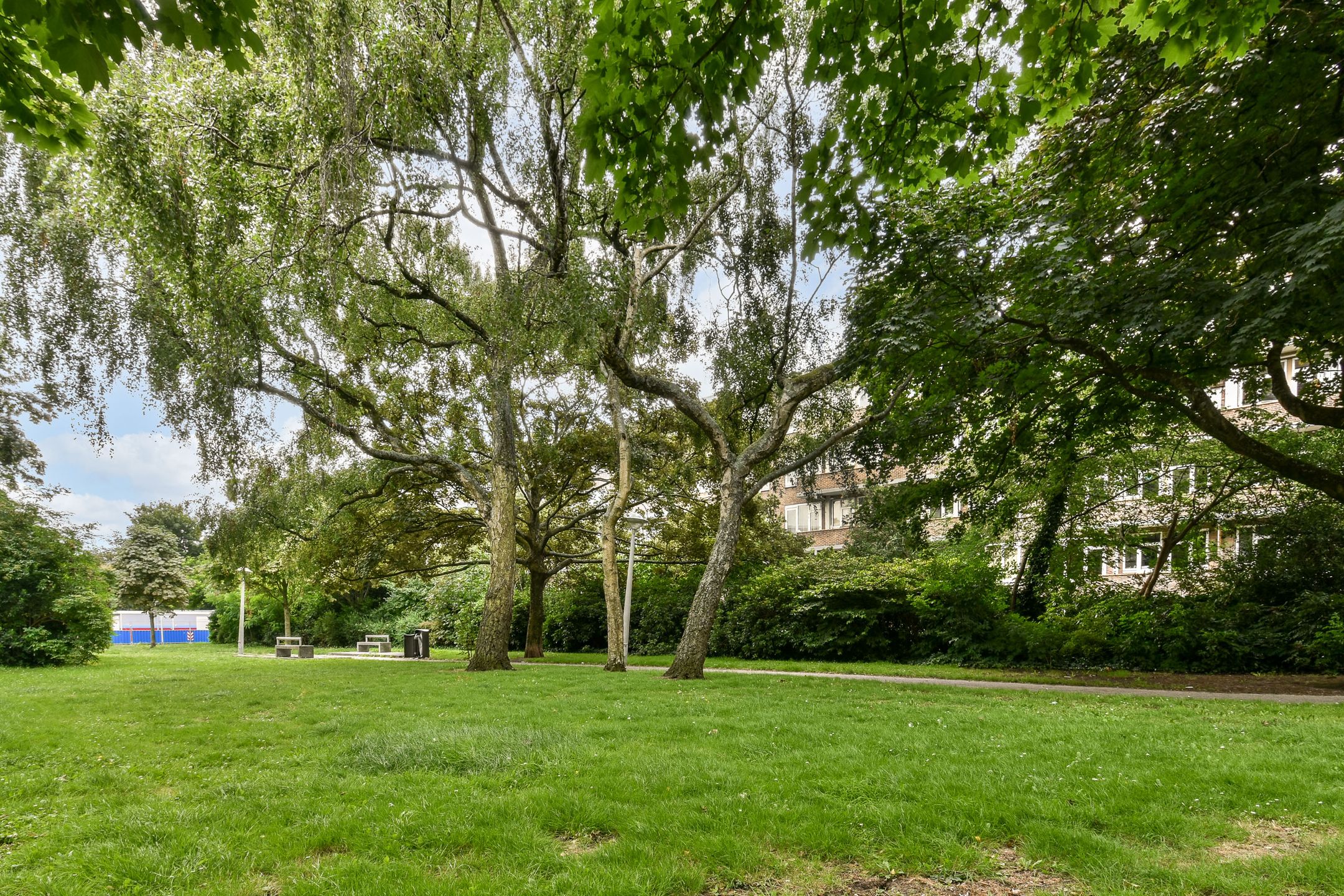 Foto 24 van Theophilusstraat 15-3