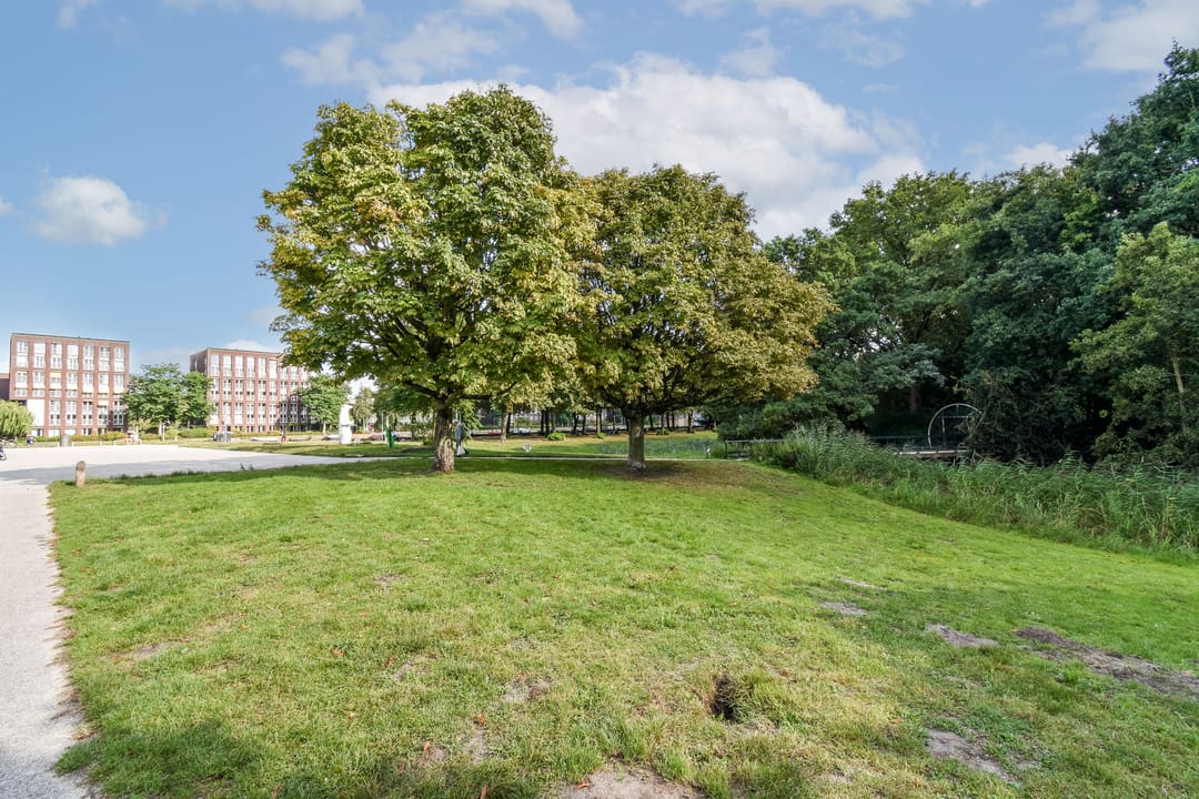 Foto 28 van Theophilusstraat 15-3