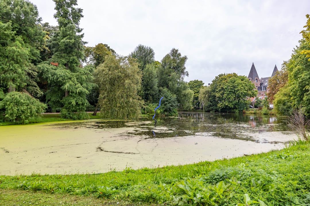 Foto 28 van Nieuwe Ebbingestraat 177