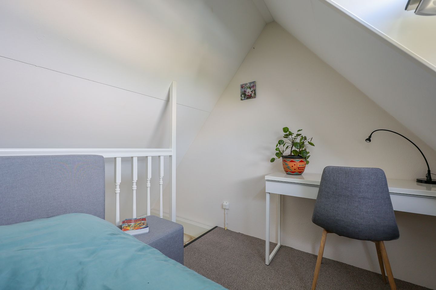 Foto 44 van Galjoen 15 2