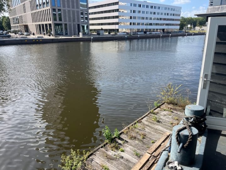 Photo 8 of Willem Fenengastraat 28