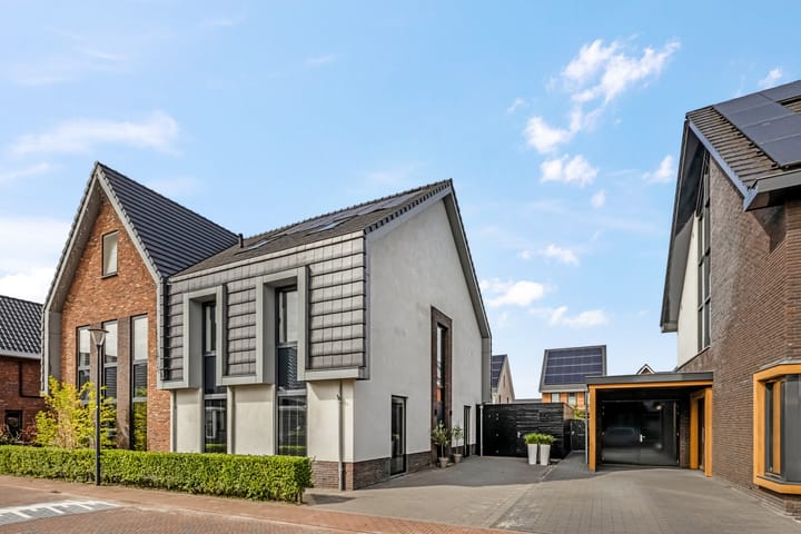 Foto 1 van Lisdodde 58