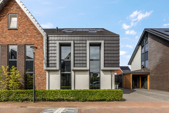 Foto 5 van Lisdodde 58