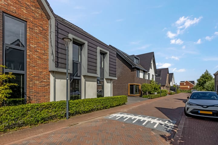 Foto 6 van Lisdodde 58