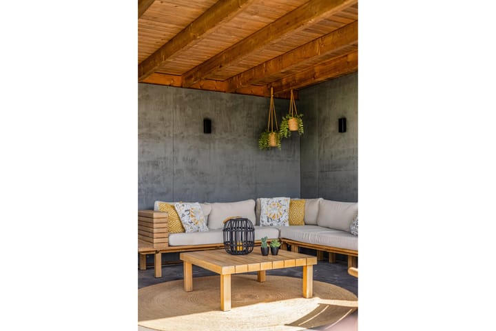 Foto 47 van Lisdodde 58