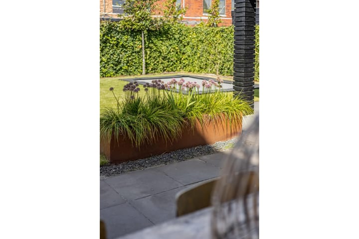 Foto 48 van Lisdodde 58