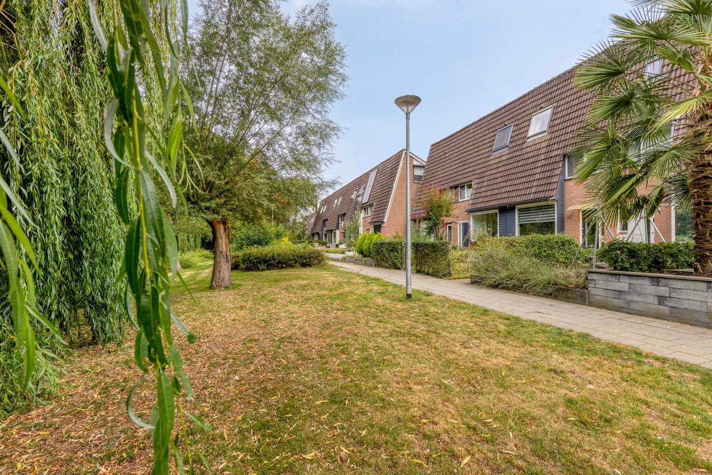 Photo 4 of Walhoven 62