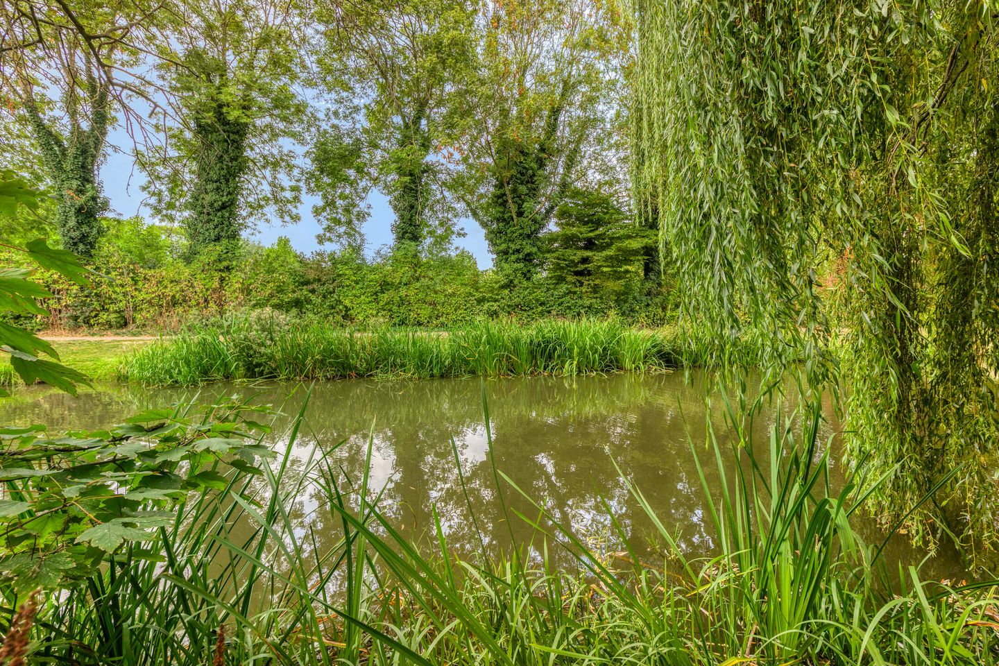 Photo 34 of Walhoven 62