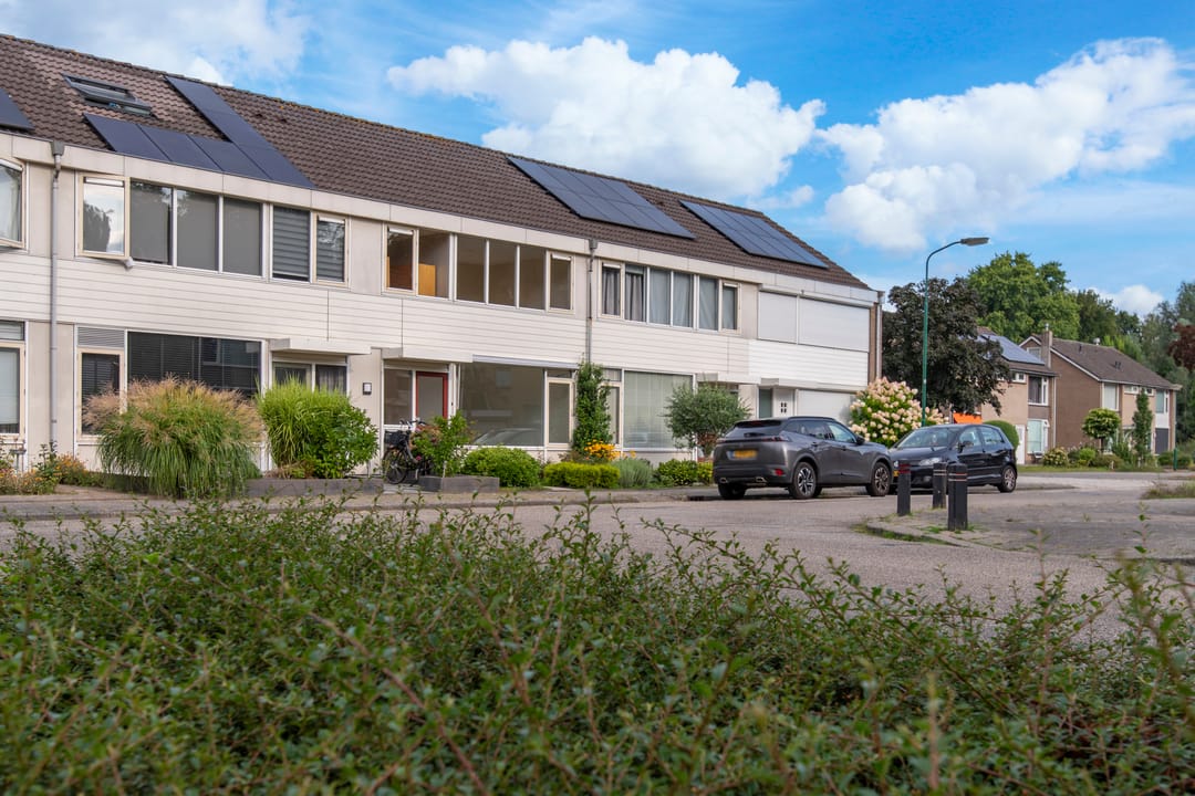 Foto 1 van Pollux 58