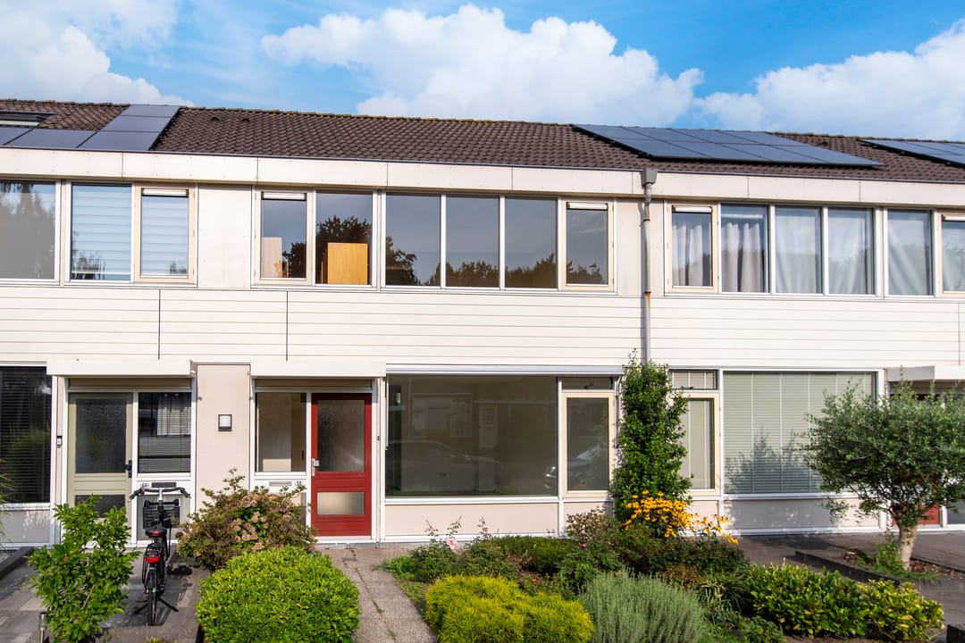 Foto 2 van Pollux 58