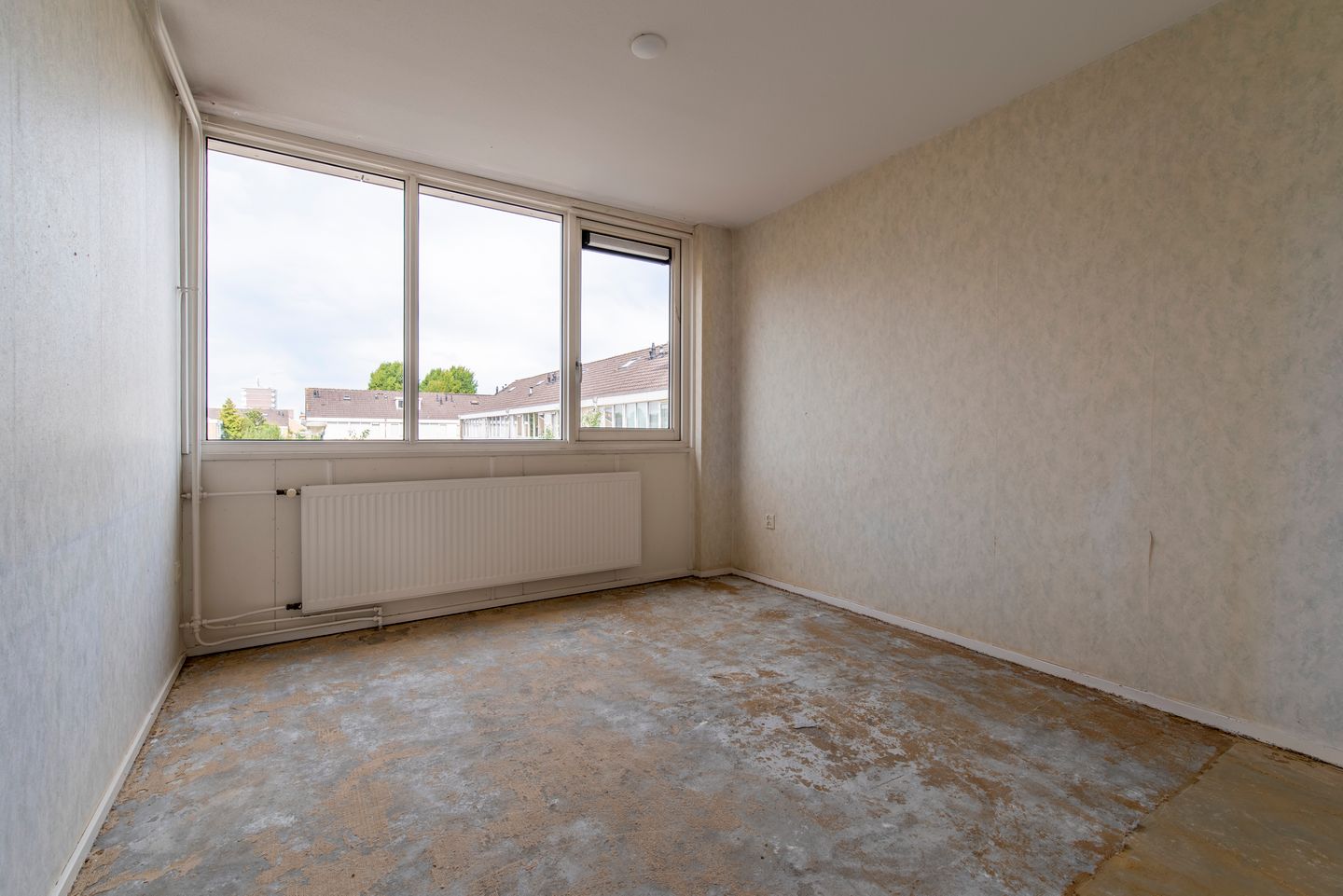 Foto 19 van Pollux 58