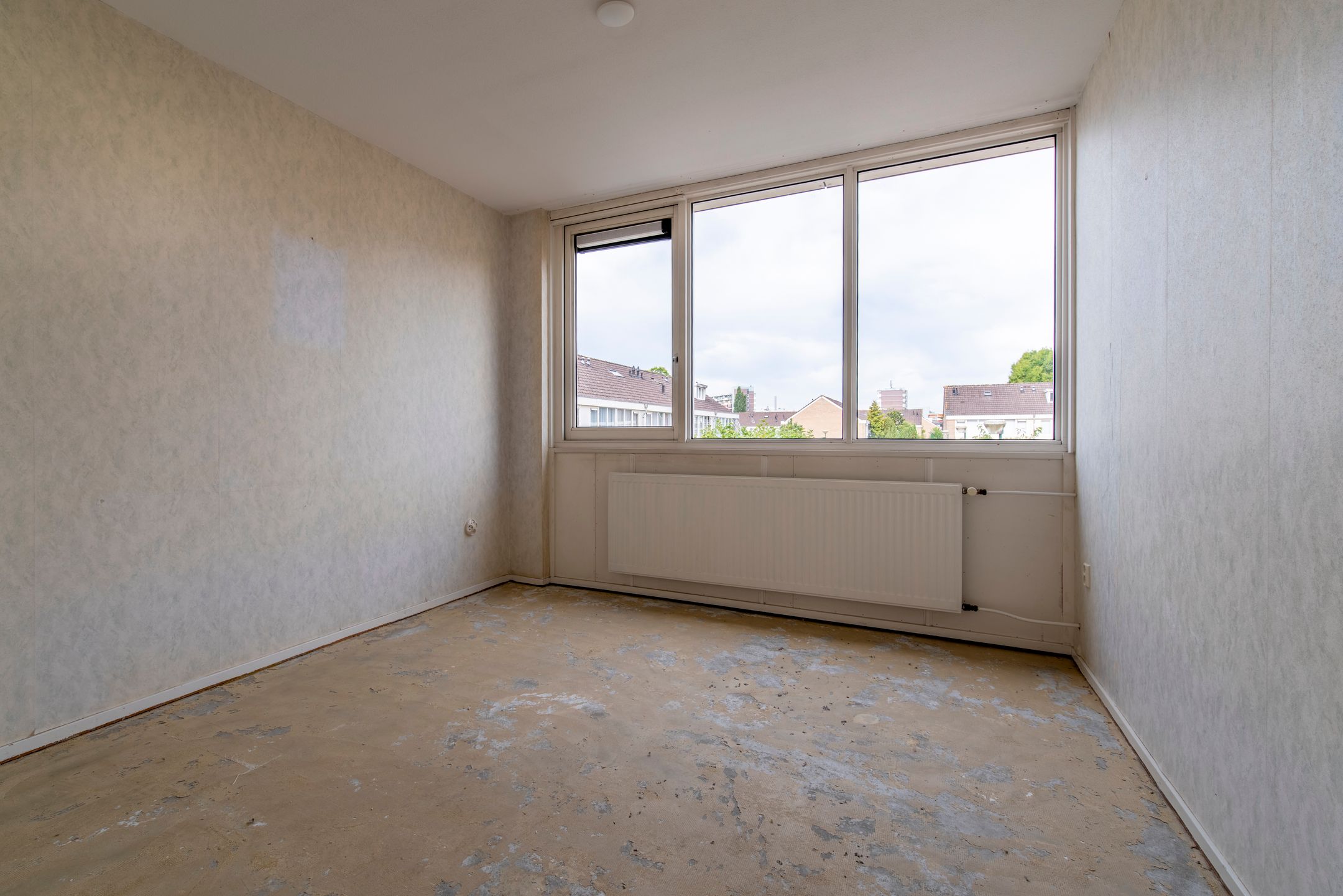 Foto 21 van Pollux 58