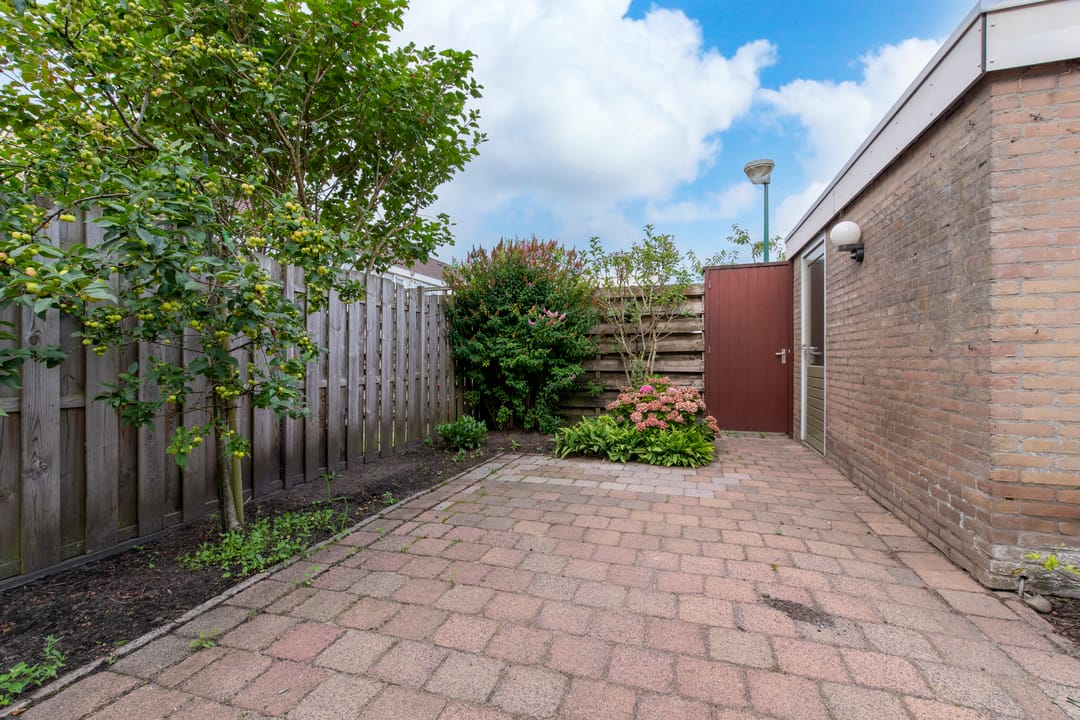 Foto 32 van Pollux 58