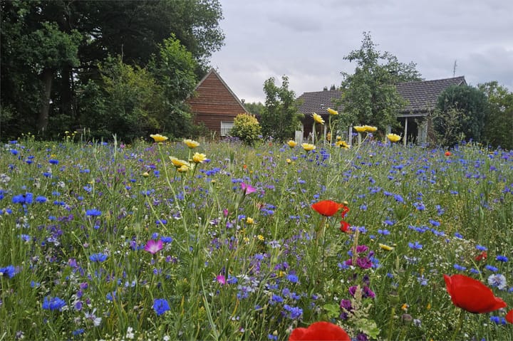 Foto 3 van Eekterweg 3