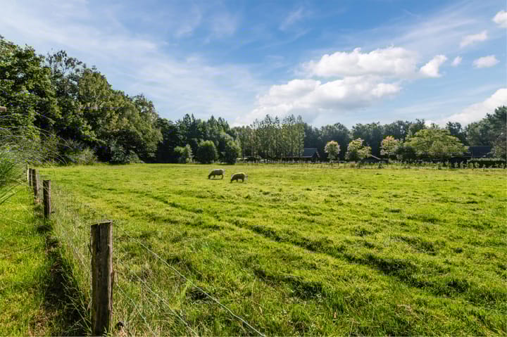 Foto 4 van Eekterweg 3