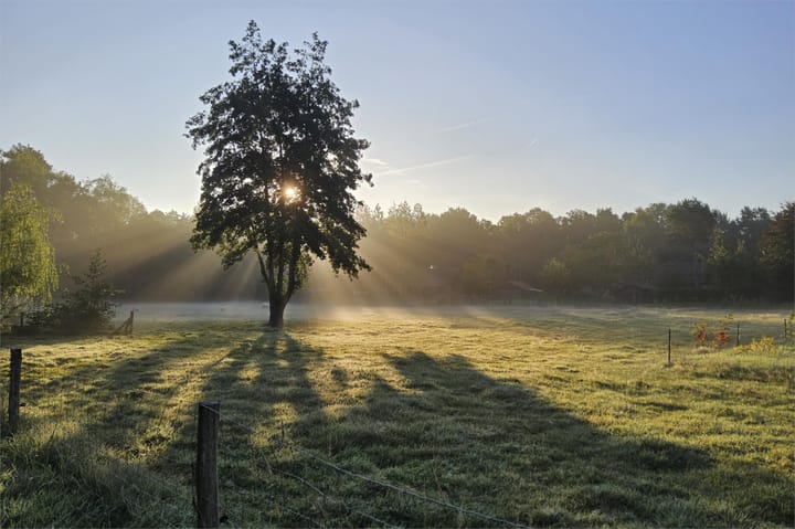 Foto 5 van Eekterweg 3