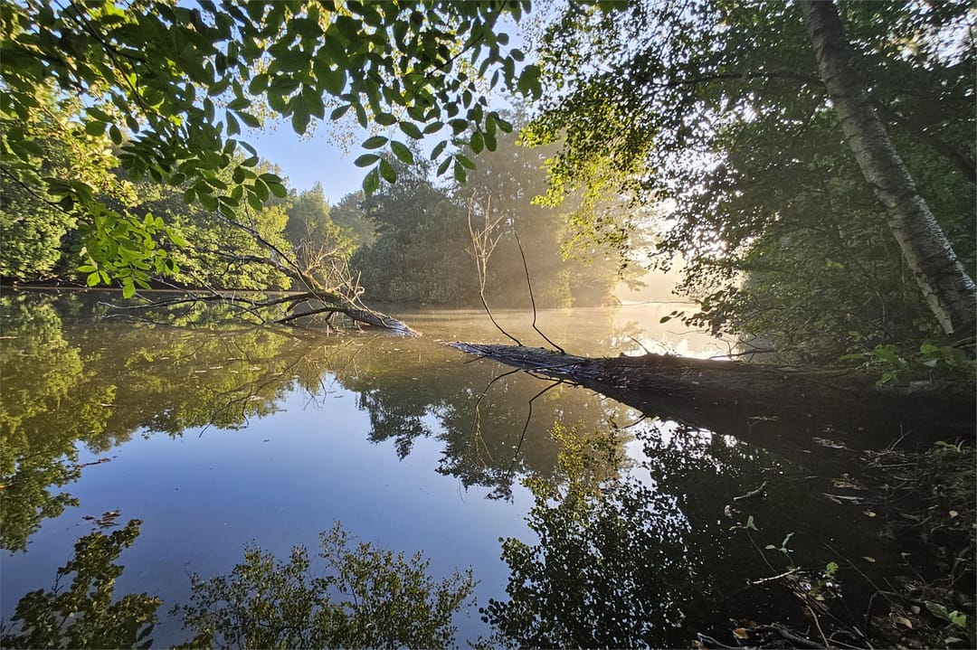 Foto 32 van Eekterweg 3