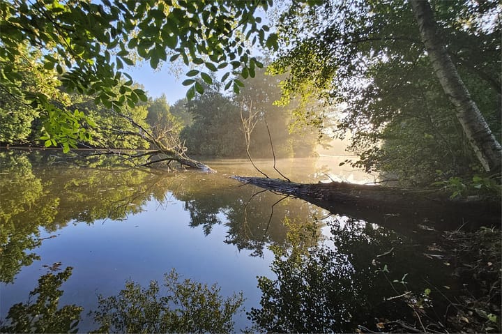 Foto 32 van Eekterweg 3