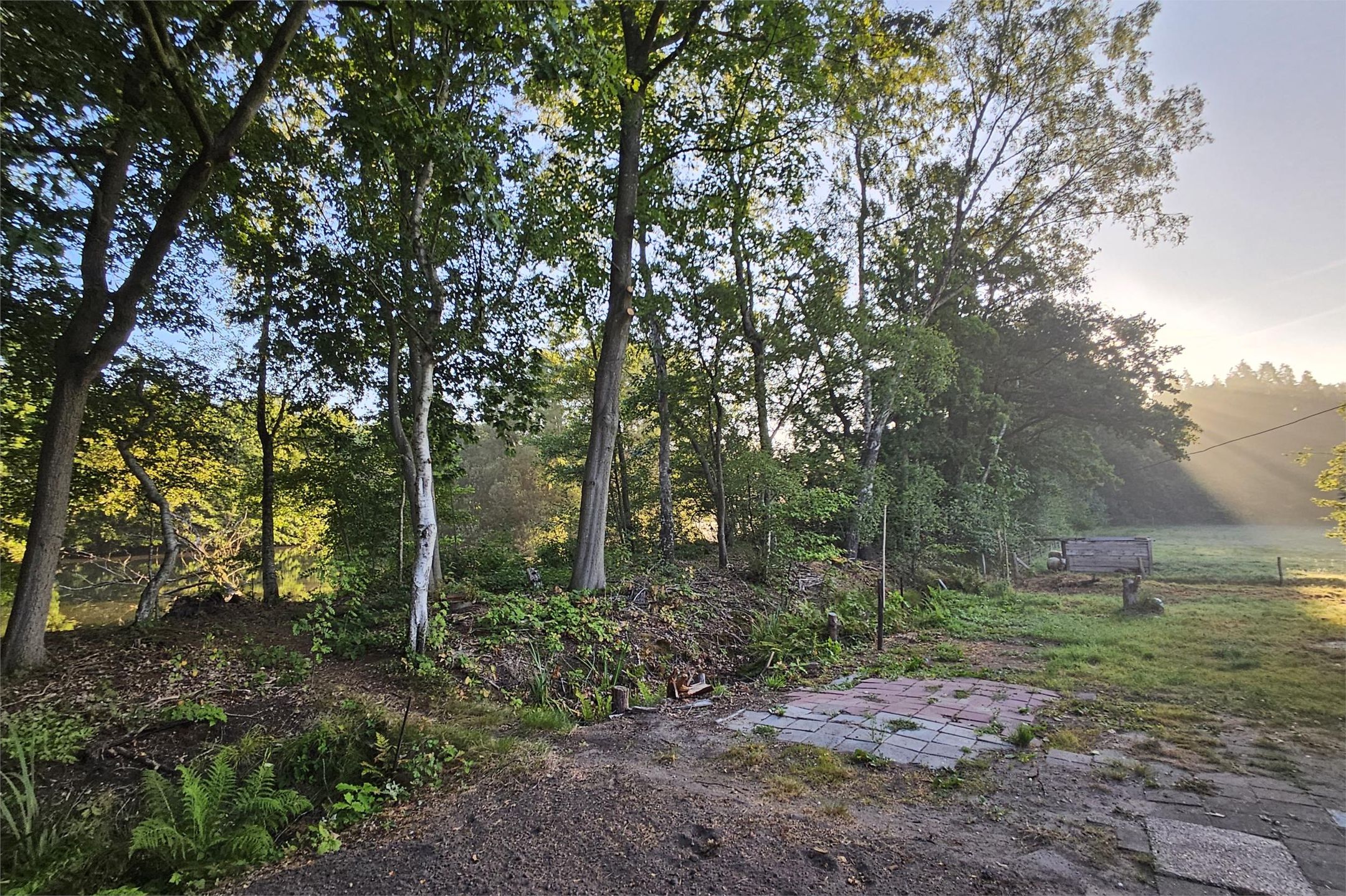 Foto 33 van Eekterweg 3