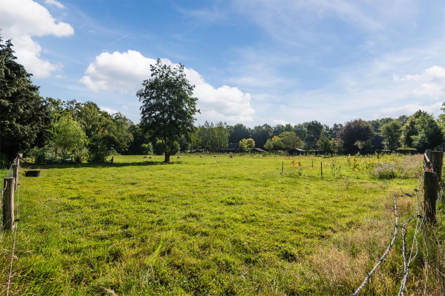 Foto 34 van Eekterweg 3