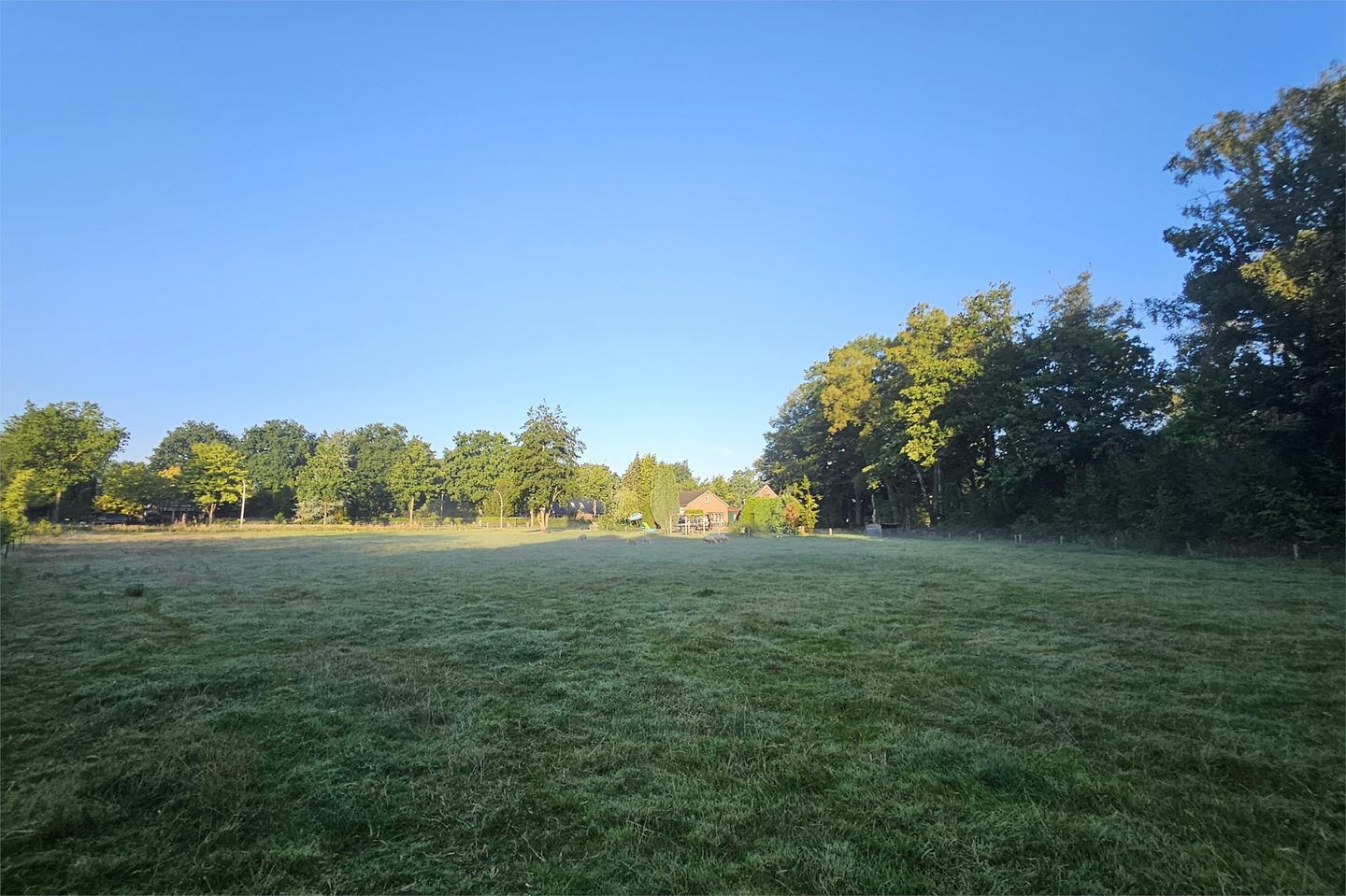 Foto 35 van Eekterweg 3