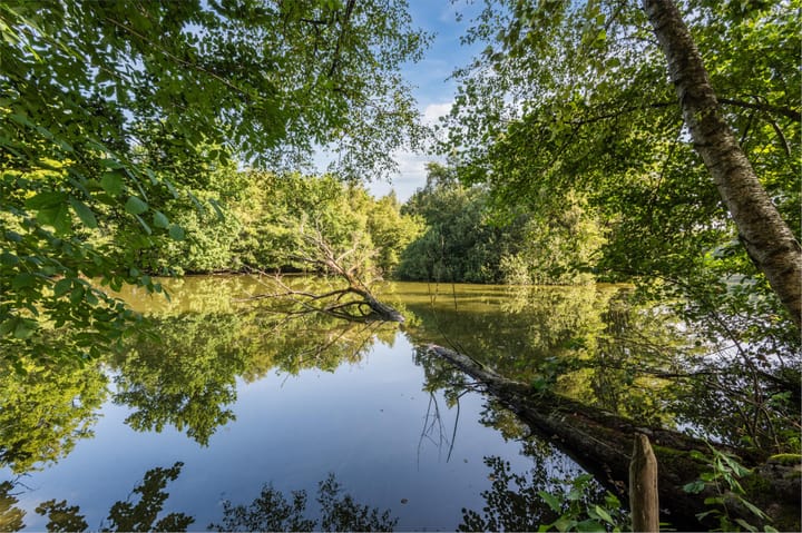 Foto 43 van Eekterweg 3