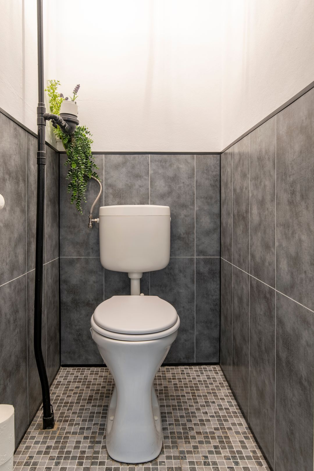 Foto 16 van De Tinneweide 52