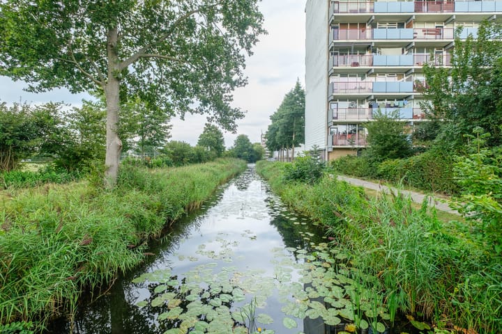 Foto 25 van Akkersplein 76