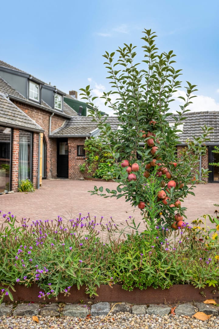 Foto 50 van Grootdorp 65