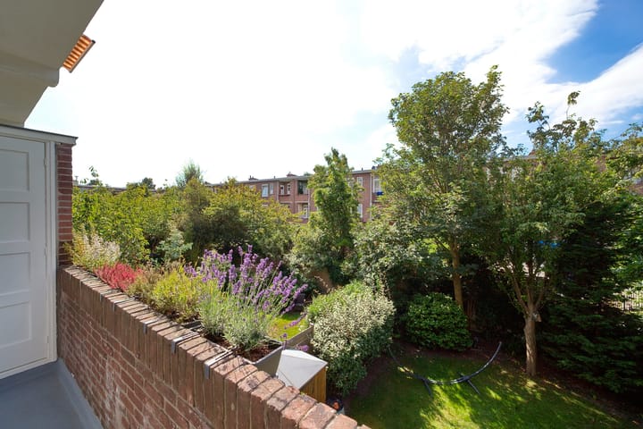 Foto 17 van Carel Reinierszkade 259