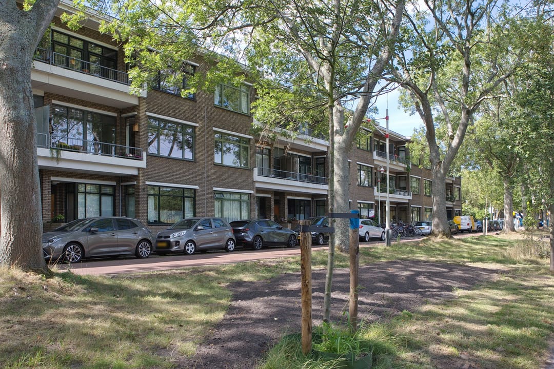 Foto 31 van Carel Reinierszkade 259