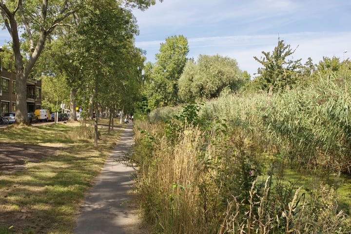 Foto 32 van Carel Reinierszkade 259