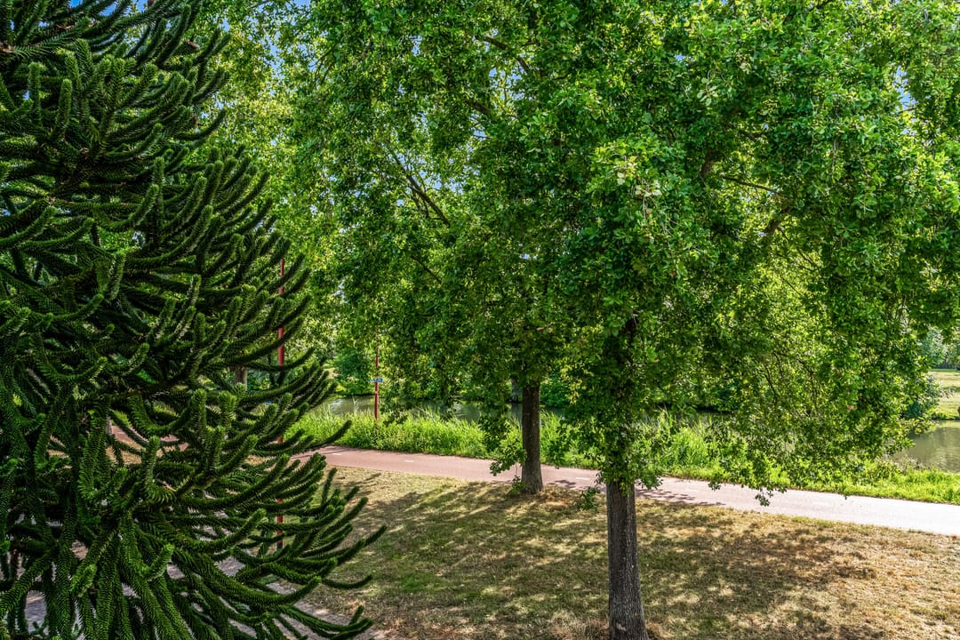 Photo 37 of Oeverloper 1