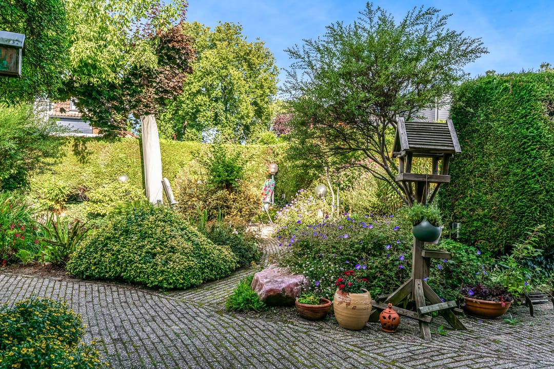 Photo 43 of Oeverloper 1