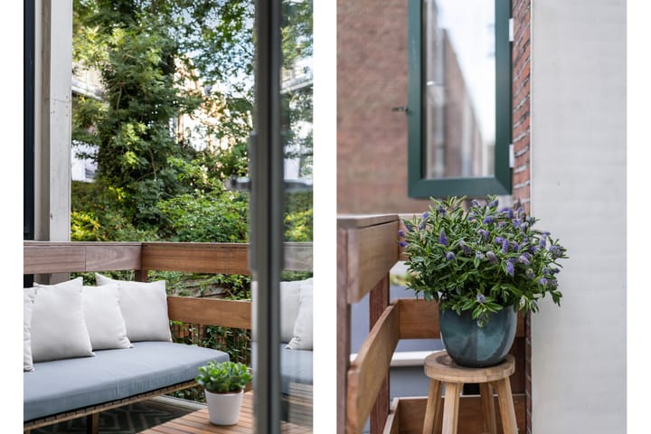 Foto 22 van Bergsingel 208-A