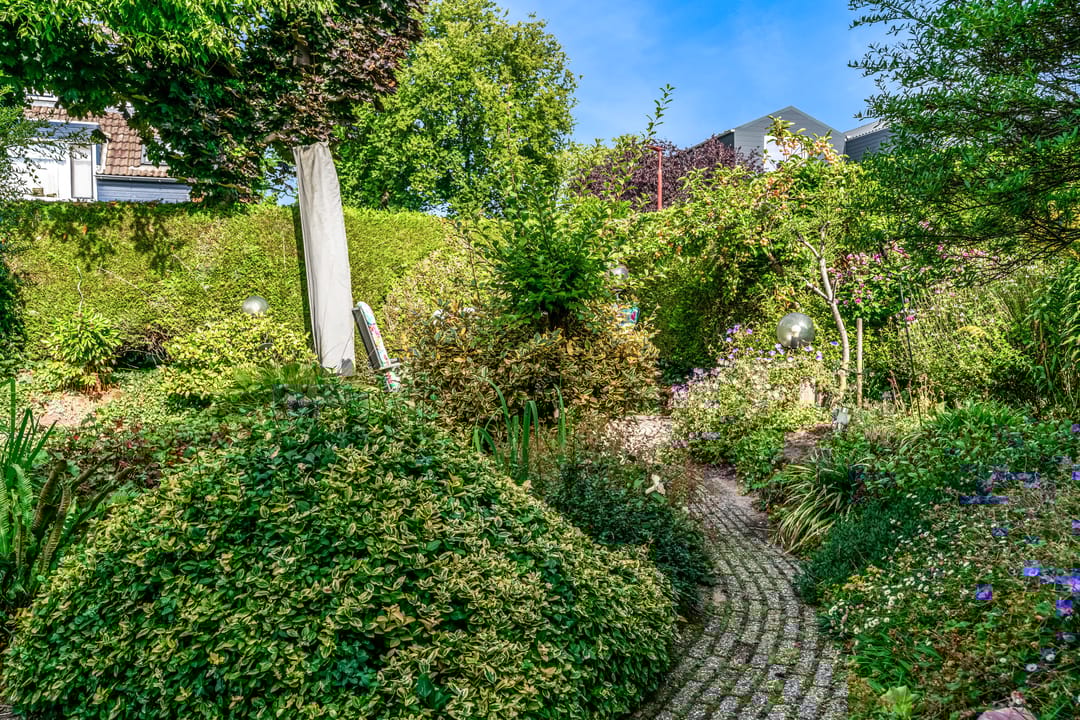 Photo 46 of Oeverloper 1